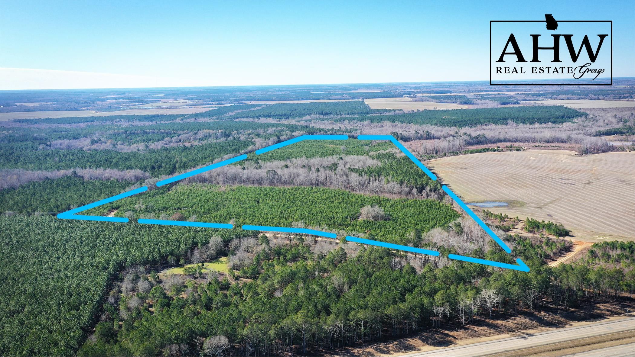 Montrose, Laurens County, GA Hunting Property for sale Property ID