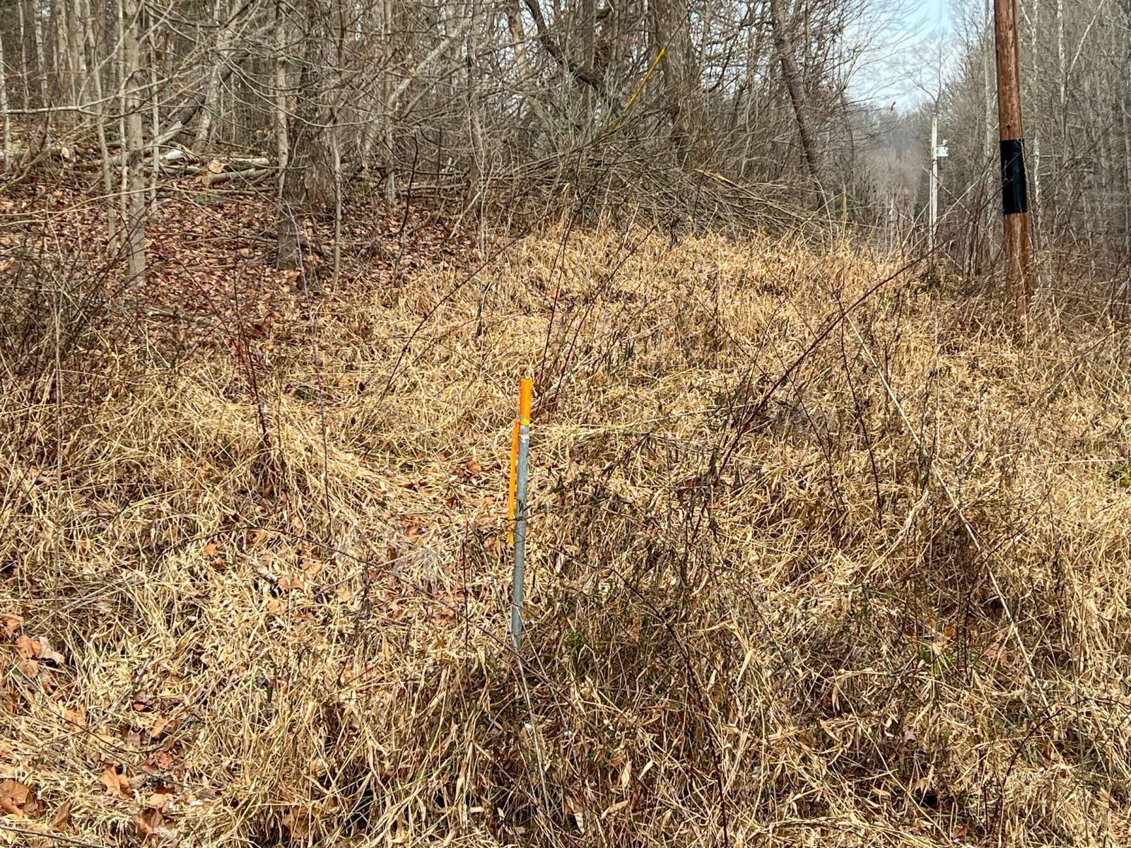 27599 Bray Hollow Rd, Mcarthur, OH 45651 MLS 2431587 LandWatch