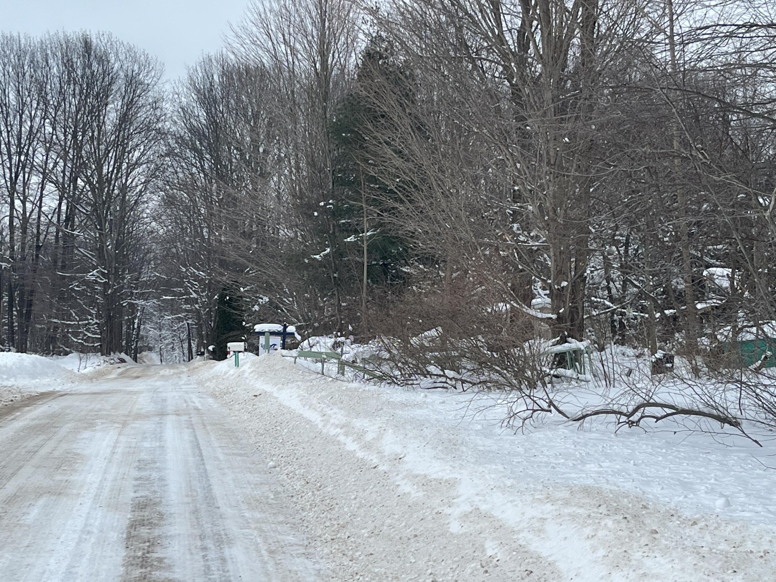 Bangor, Van Buren County, MI Undeveloped Land for sale Property ID