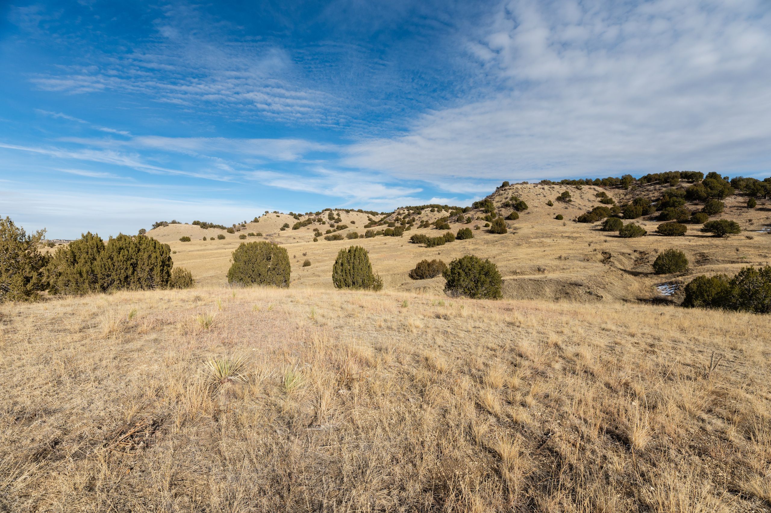 13 Pine Bluff Drive, Pueblo, CO 81004 LandWatch