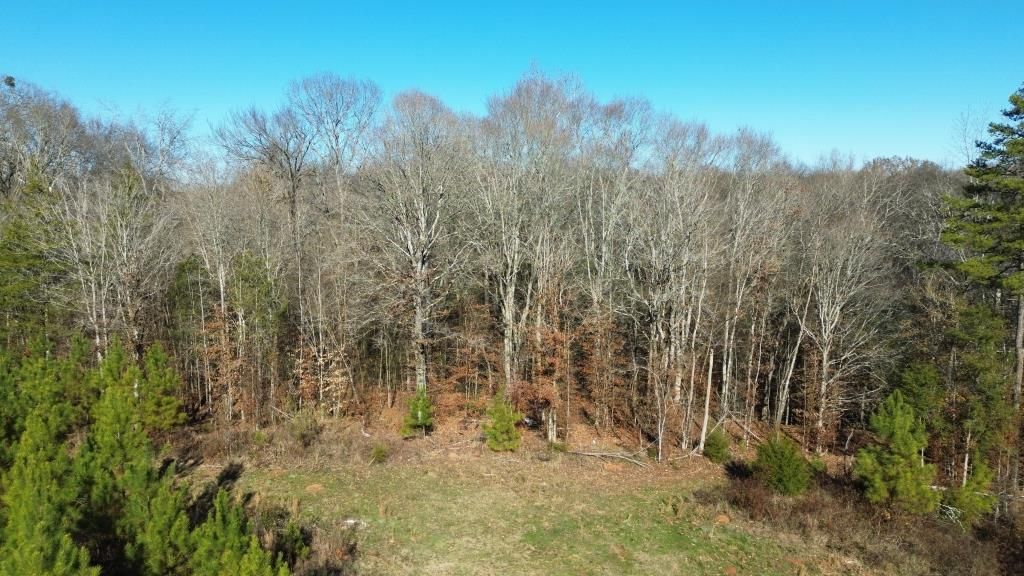 45 acres in Abbeville, SC, 29620 MLS B611 Little River tract
