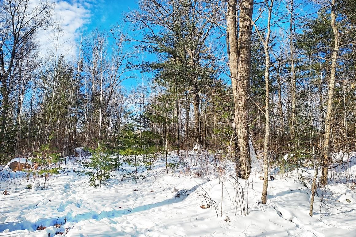 Rhinelander, Oneida County, WI Recreational Property, Hunting Property