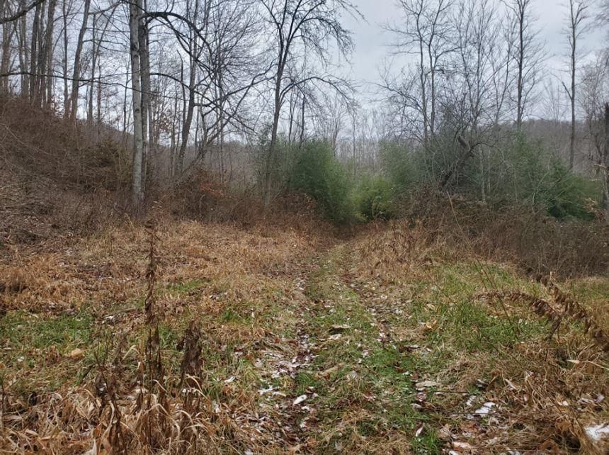 58 acres in Rainelle, WV, 25962 LandWatch