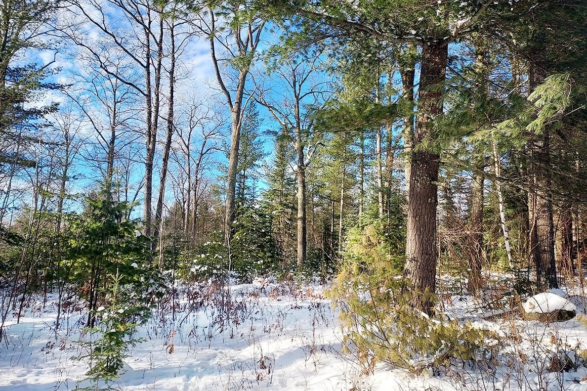 4.5 acres in Rhinelander, WI, 54501 LandWatch