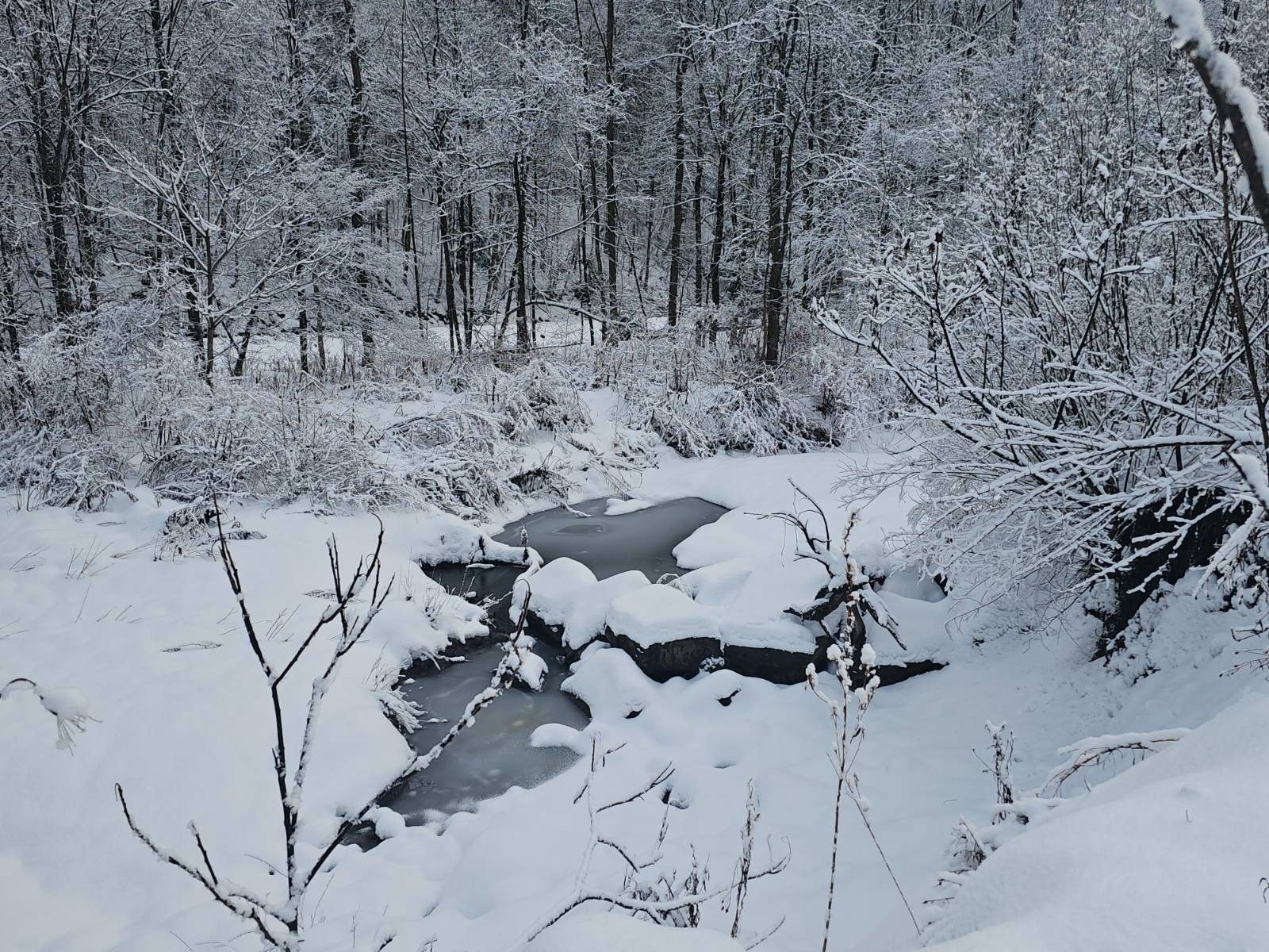 0WP State Rt 46, Ava, NY 13309 MLS 11238919 LandWatch