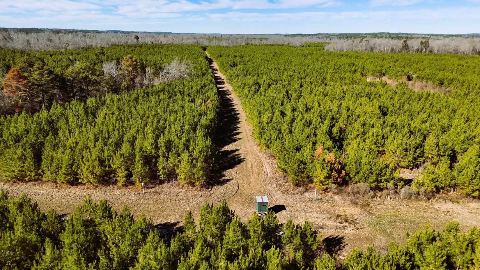 Heidelberg, Jasper County, MS Recreational Property, Timberland