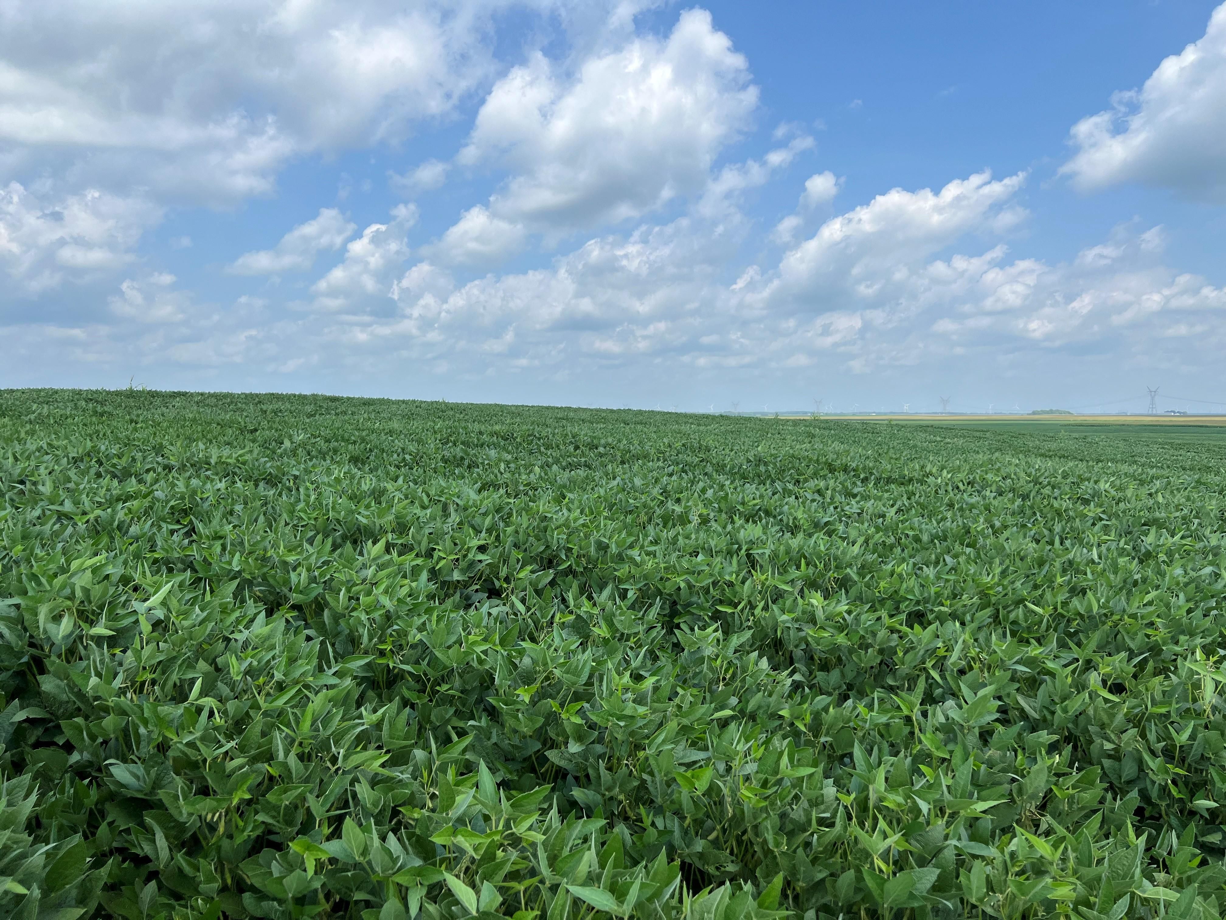 Towanda, McLean County, IL Farms and Ranches for auction Property ID