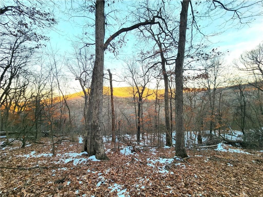 Berryville, Carroll County, AR Undeveloped Land for sale Property ID 418748558 LandWatch