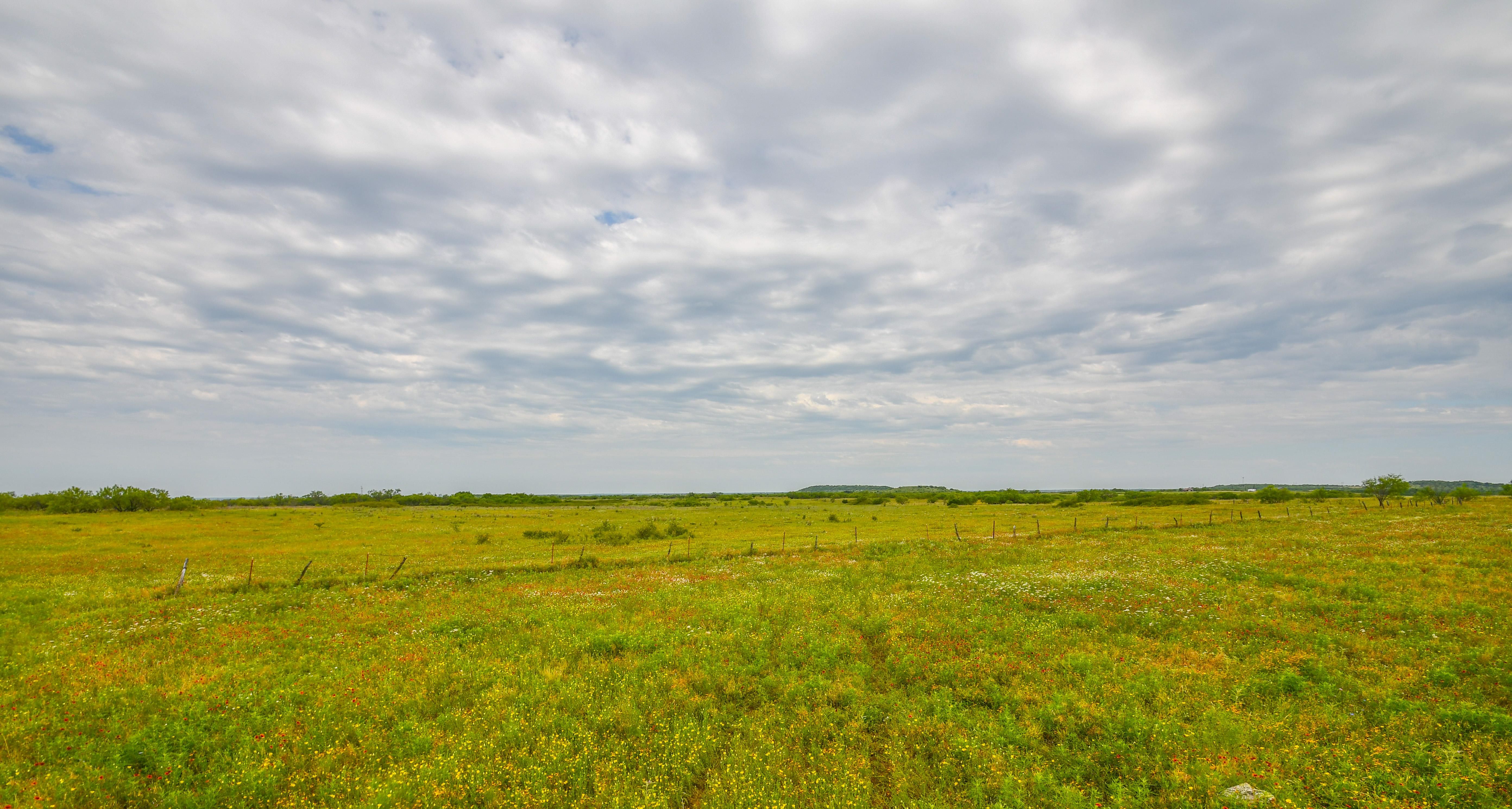 Graham, Young County, TX Farms and Ranches, Recreational Property