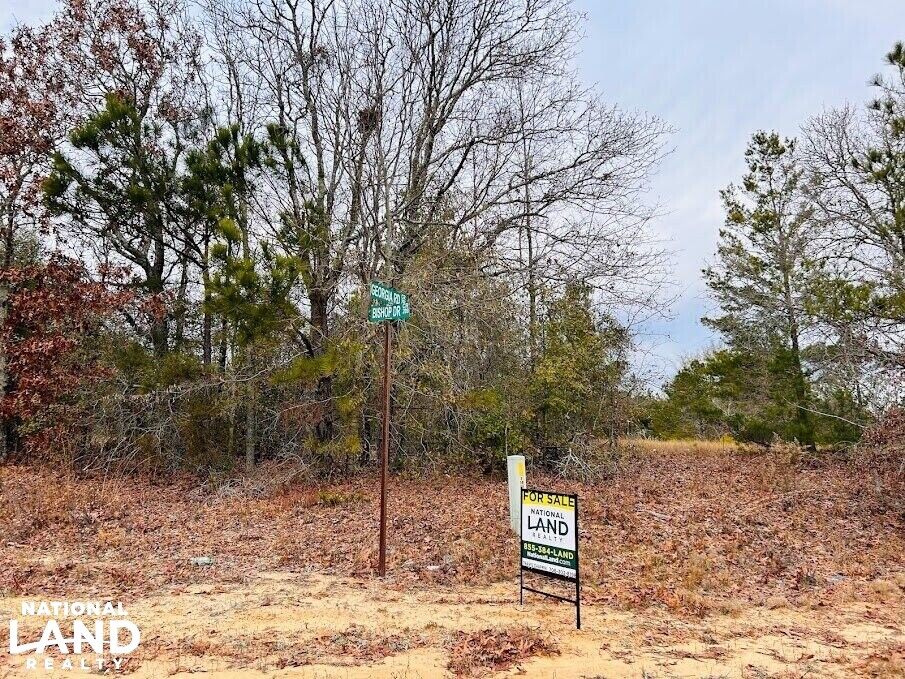 Butler, Taylor County, GA Undeveloped Land, Homesites for sale Property