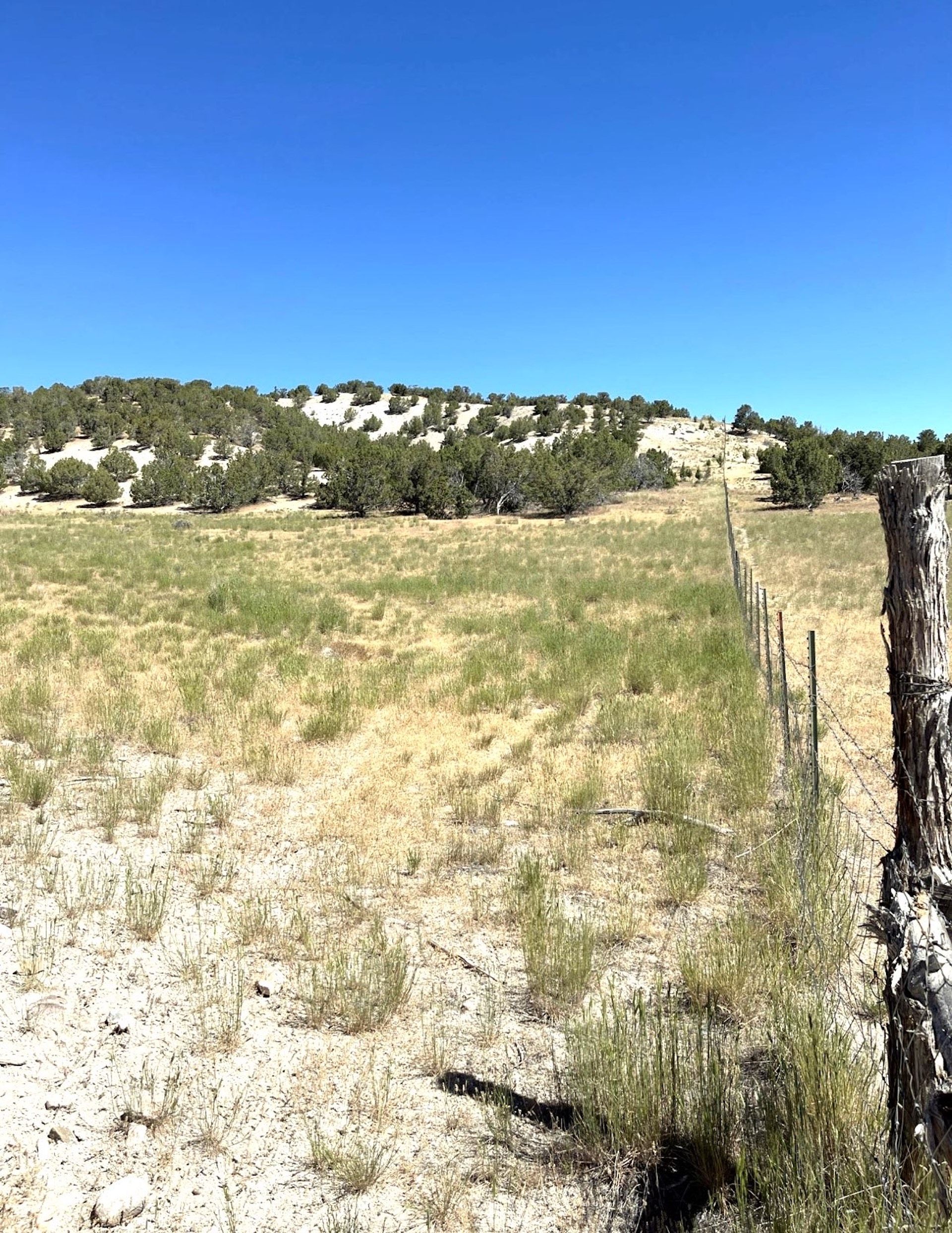 TBD River Lane Road, LotWP001, Moroni, UT 84647 LandWatch
