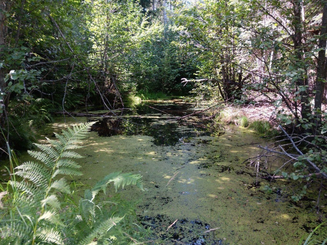 Colville, Stevens County, WA Undeveloped Land, Lakefront Property