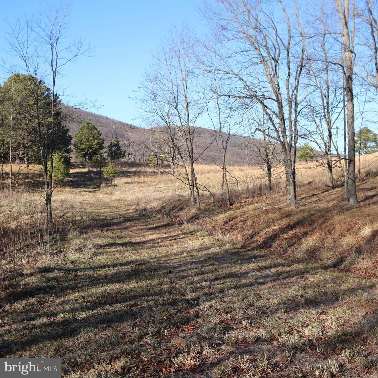 LOT 55 SARAH LINCOLN DR., New Creek, WV 26743 MLS WVGT2000736