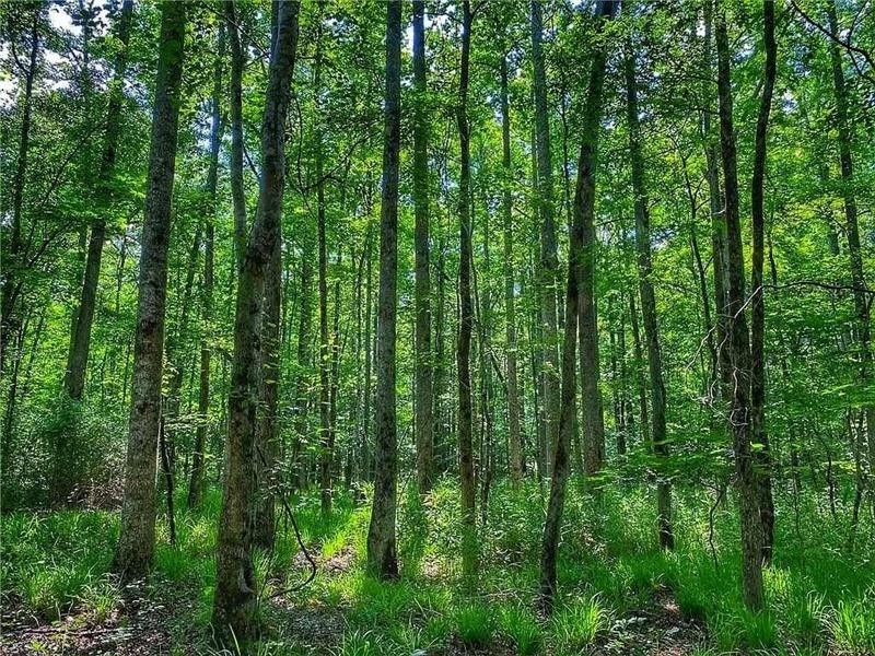 Lafayette, Chambers County, AL Undeveloped Land for sale Property ID