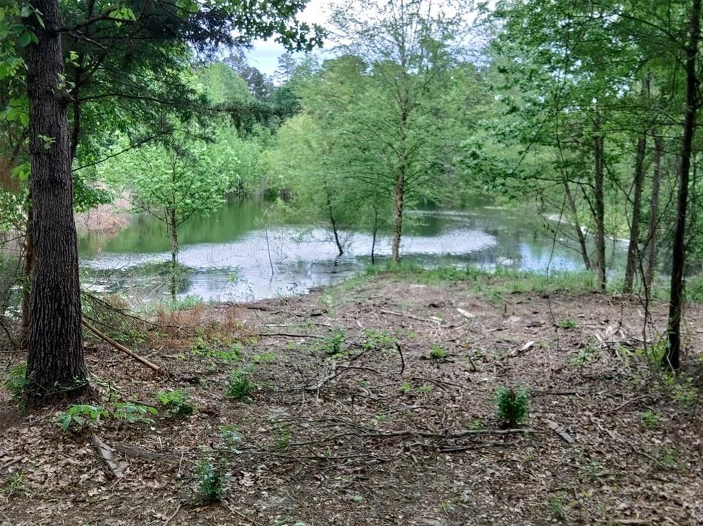 Scroggins, Franklin County, TX Undeveloped Land, Lakefront Property