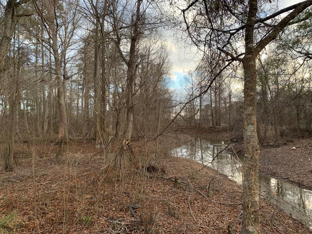 Doyline, Webster Parish, LA Undeveloped Land, Homesites for sale