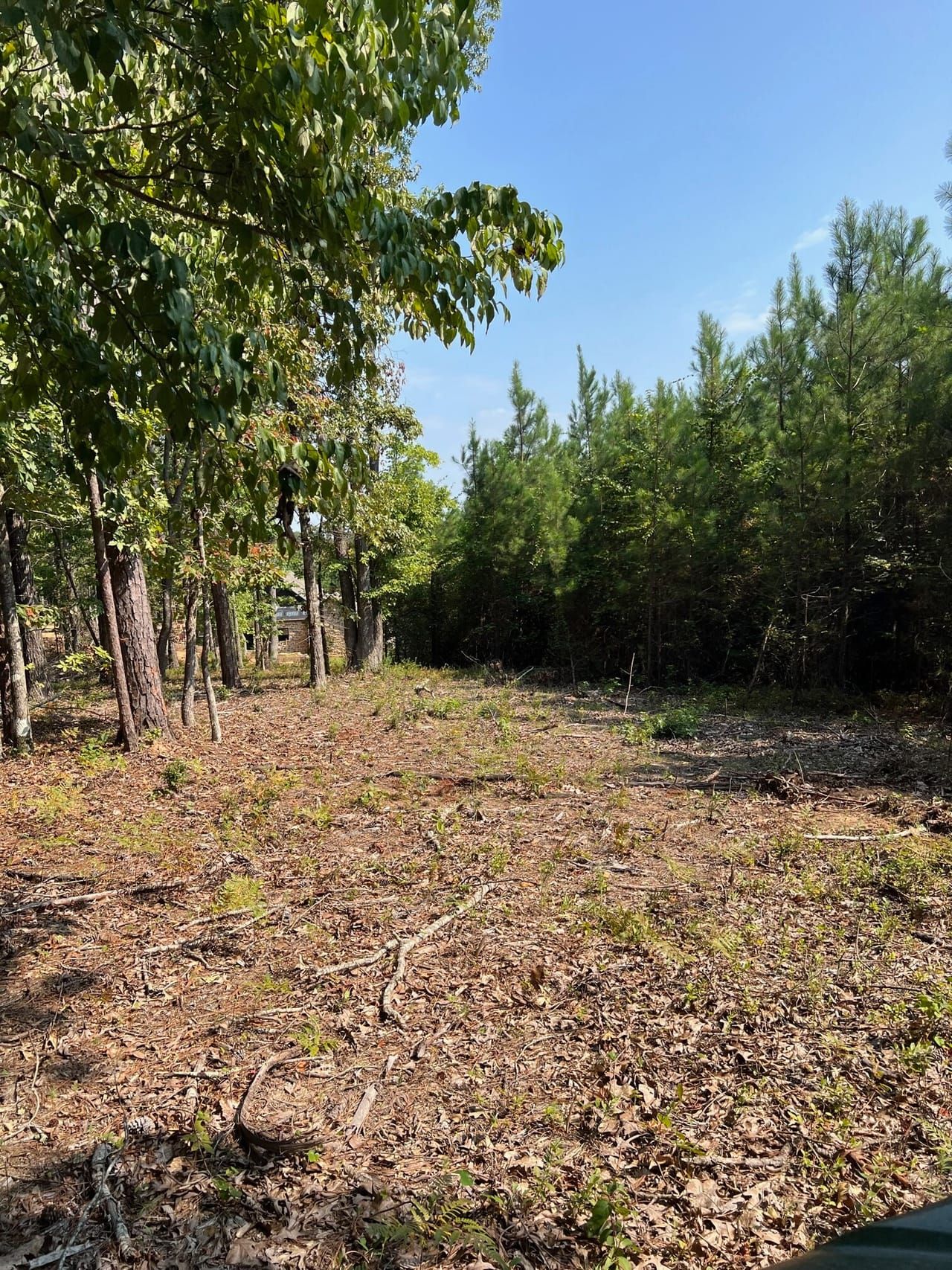 Dadeville, Tallapoosa County, AL Undeveloped Land, Hunting Property for