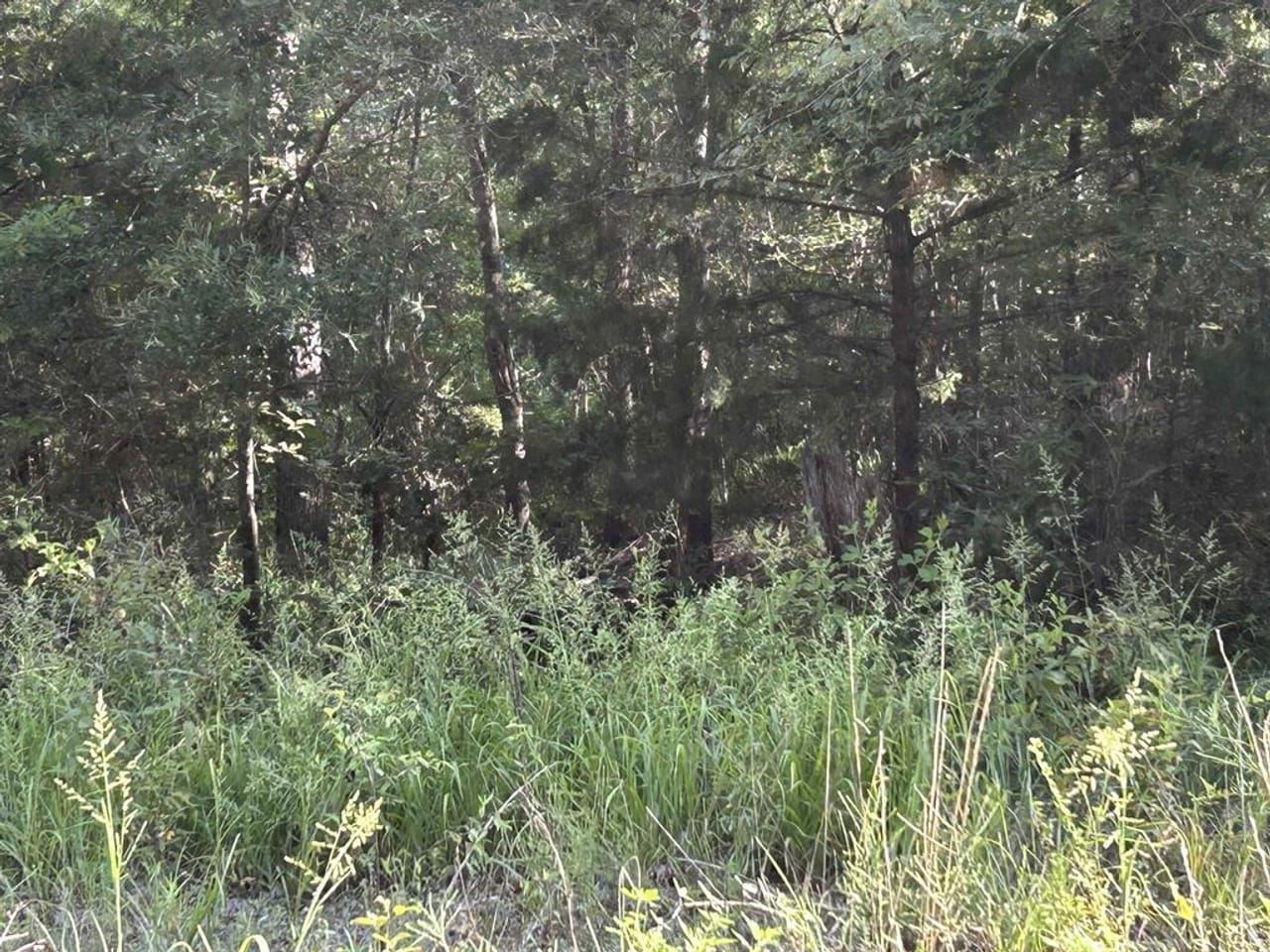 Deport, Red River County, TX Recreational Property, Undeveloped Land