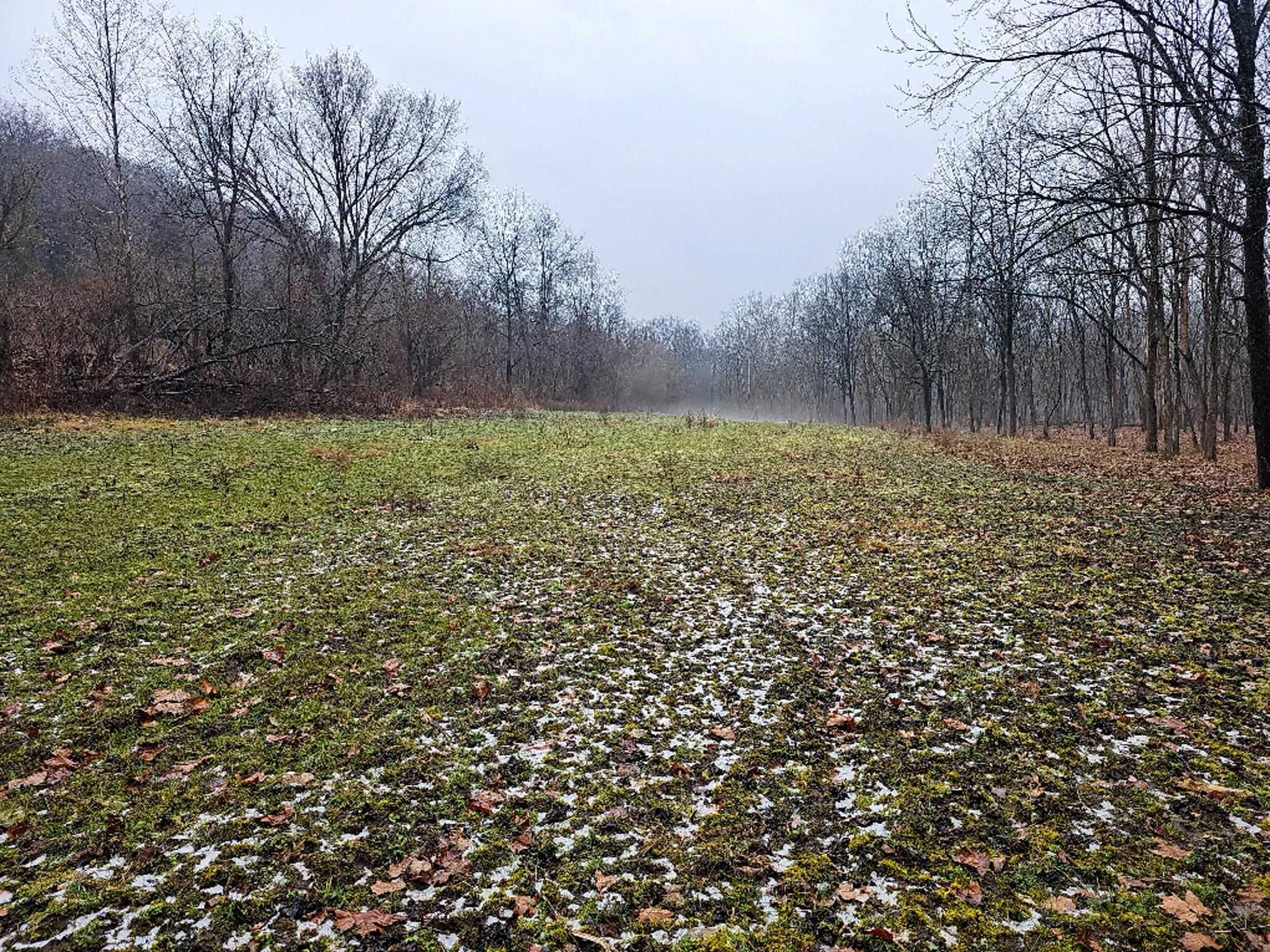 9622 S Hogan Rd, Moores Hill, IN 47032 MLS 11239374 LandWatch