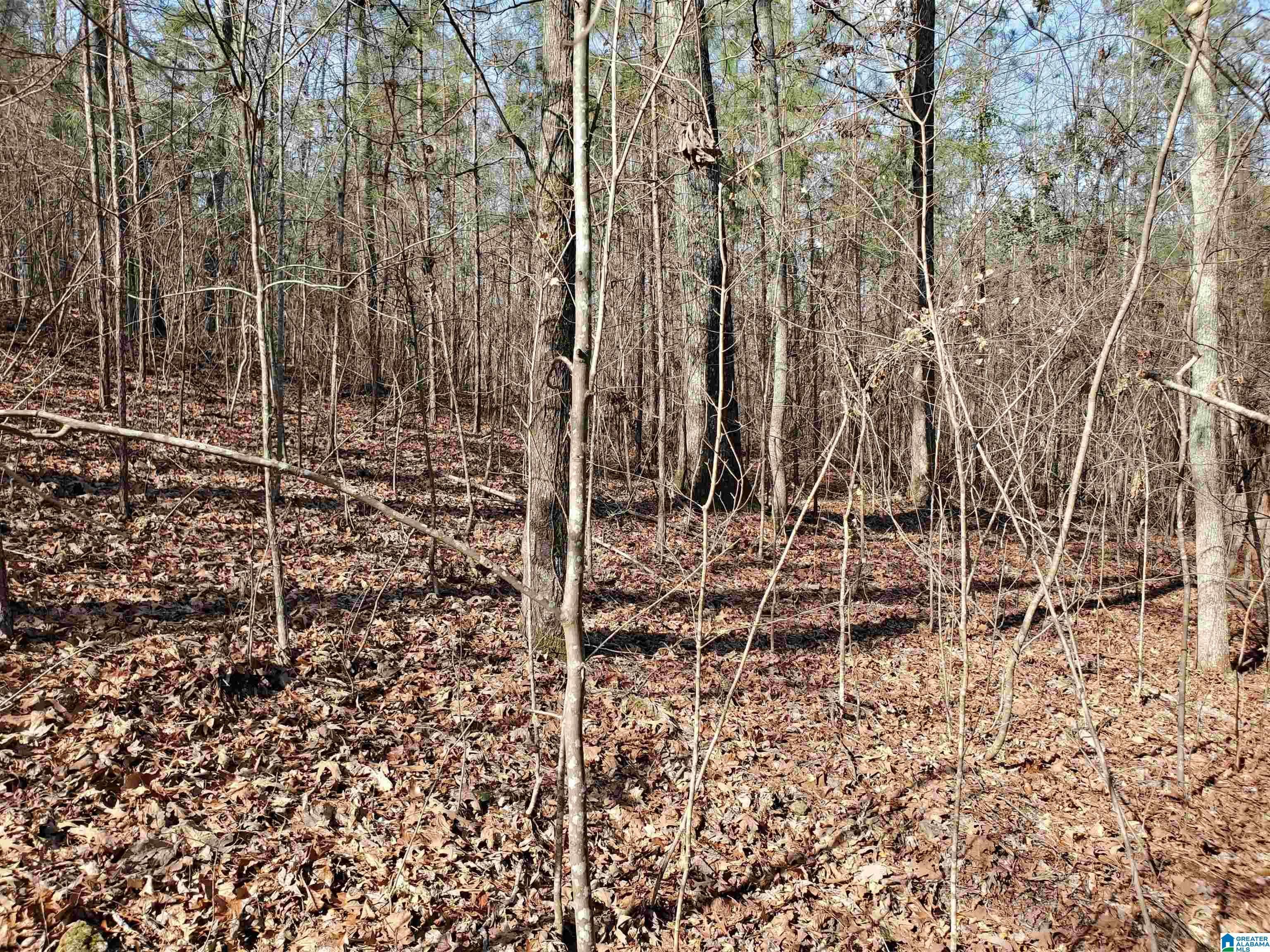 Ashville, Saint Clair County, AL Undeveloped Land, Homesites for sale