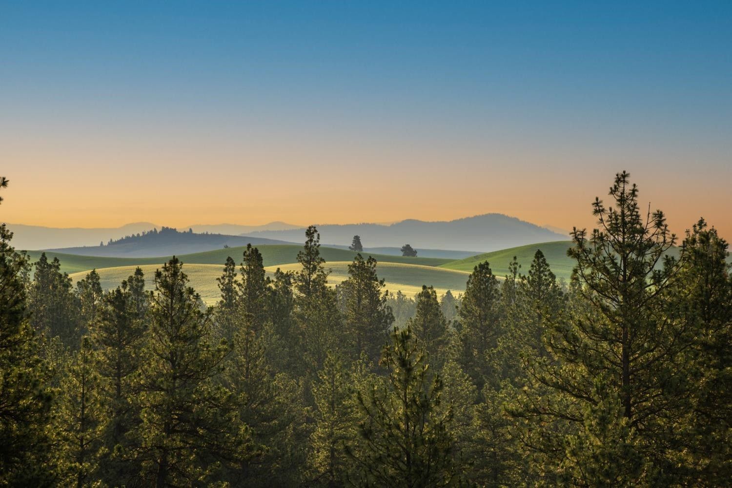 Spangle, Spokane County, WA Undeveloped Land for sale Property ID