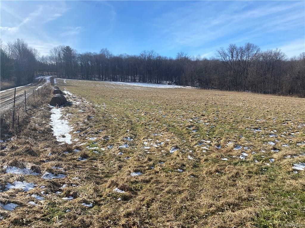 Friendship, Allegany County, NY Undeveloped Land for sale Property ID