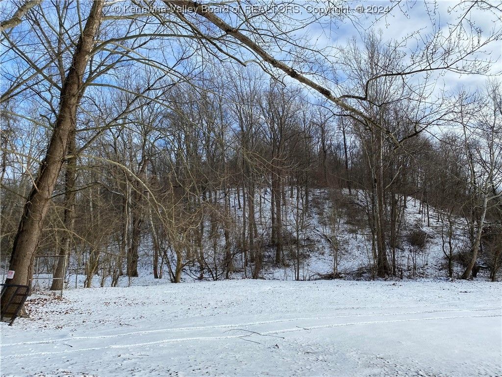 Ravenswood, Jackson County, WV Undeveloped Land, Lakefront Property