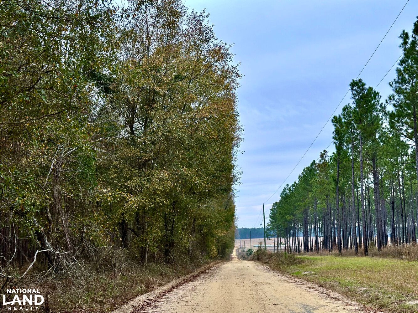 Chester, Dodge County, GA Recreational Property, Timberland Property