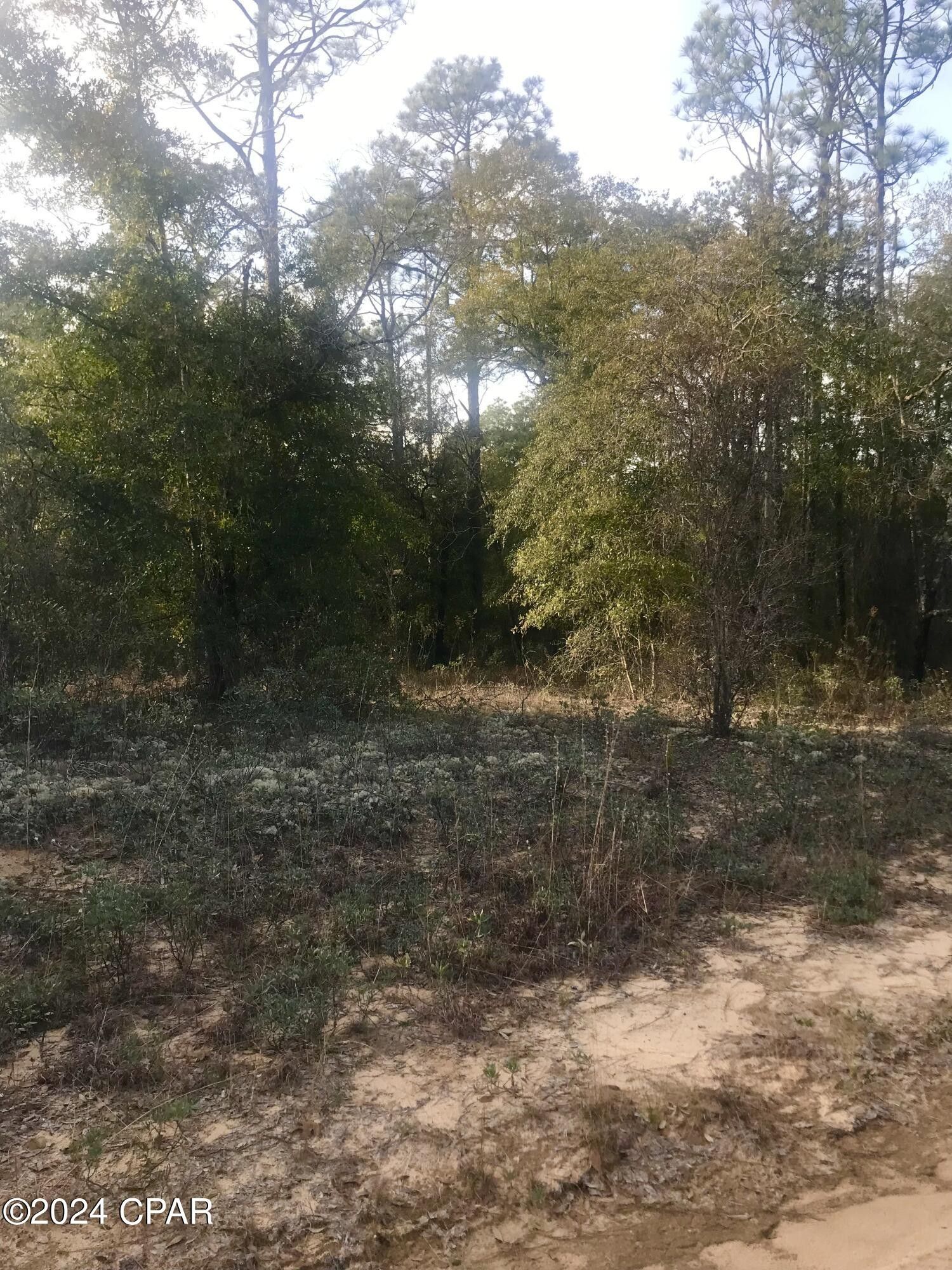 Chipley, Washington County, FL Undeveloped Land, Homesites for sale Property ID 418761756