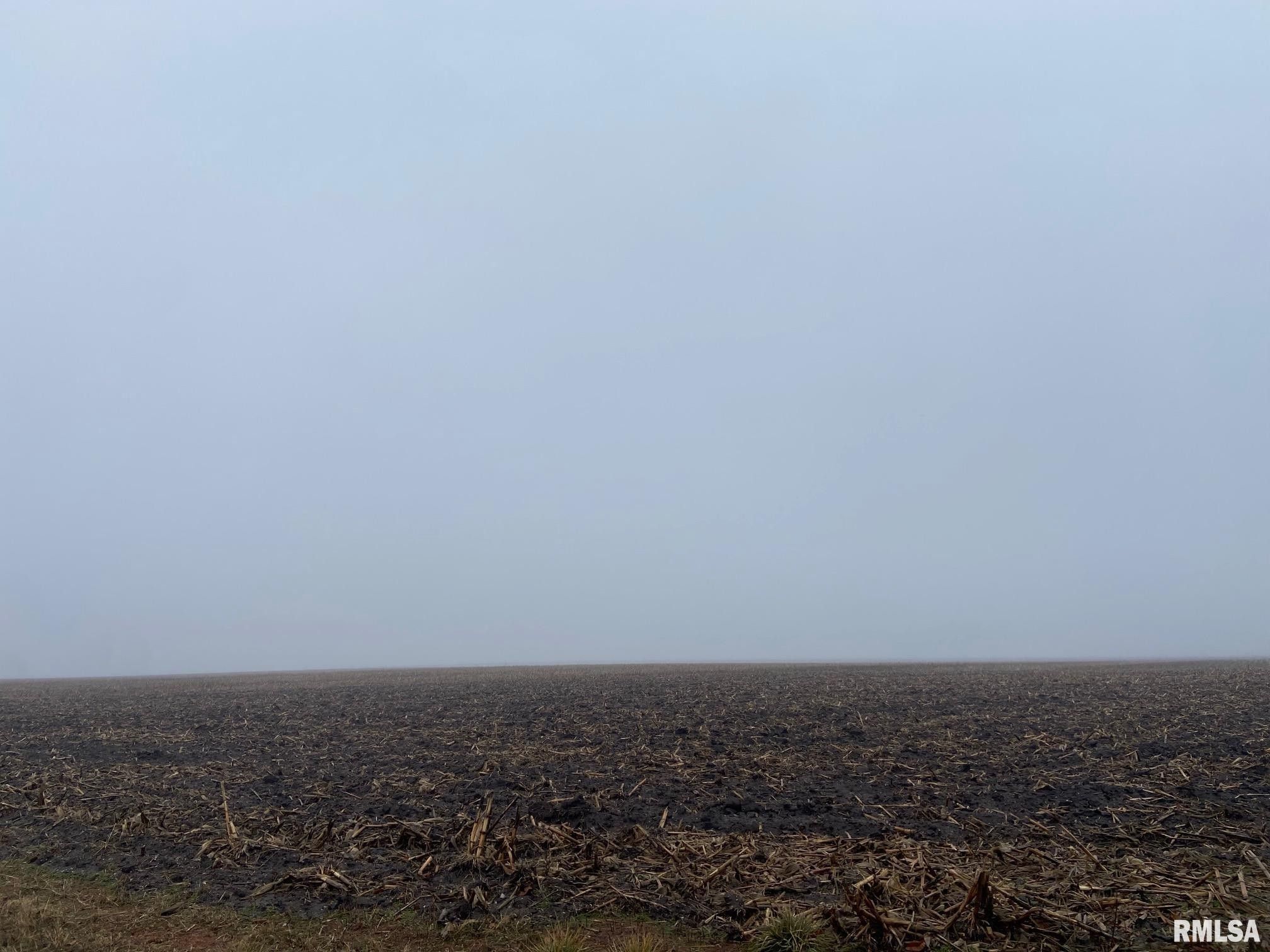 Taylorville, Christian County, IL Undeveloped Land for sale Property ID