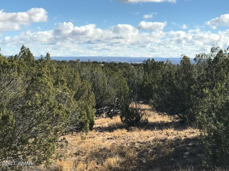 St Johns, Apache County, AZ Undeveloped Land for sale Property ID