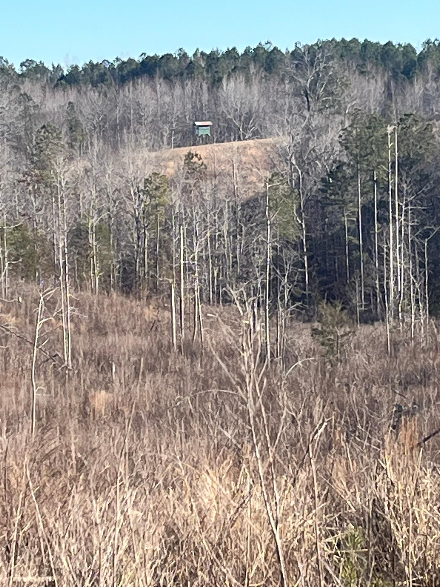 Cragford, Clay County, AL Recreational Property, Timberland Property