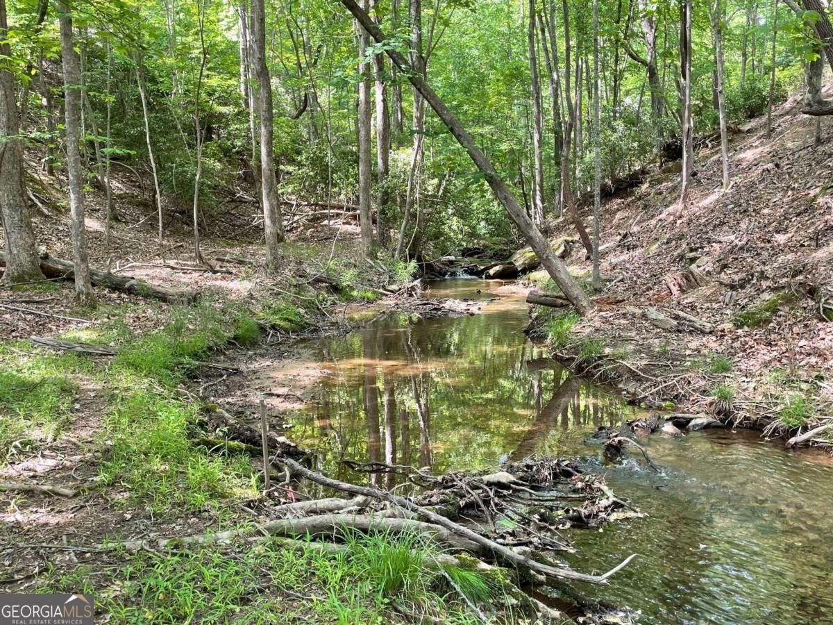 Waleska, Cherokee County, GA Undeveloped Land, Homesites for sale