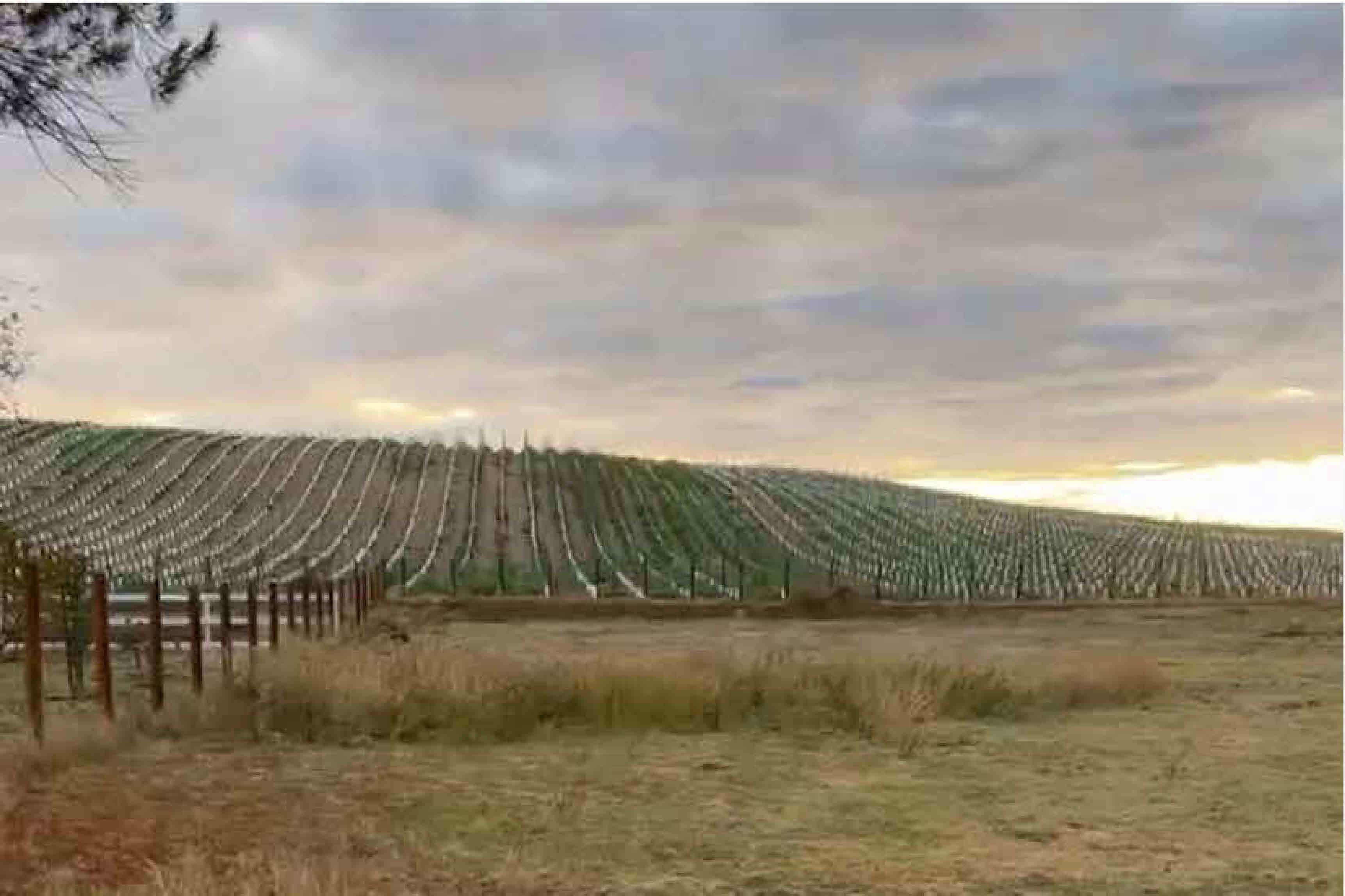 Paso Robles, San Luis Obispo County, CA Undeveloped Land, Horse