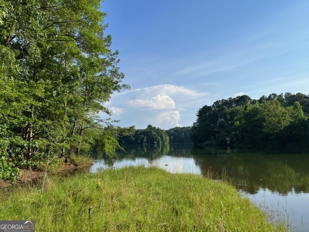 Lagrange, Troup County, GA Farms and Ranches, Lakefront Property
