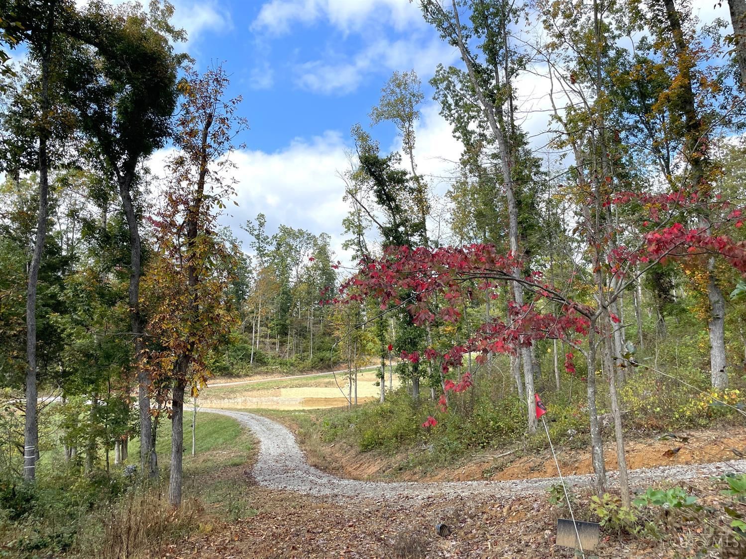 Peebles, Adams County, OH Undeveloped Land, Homesites for sale Property ID 418770138 LandWatch