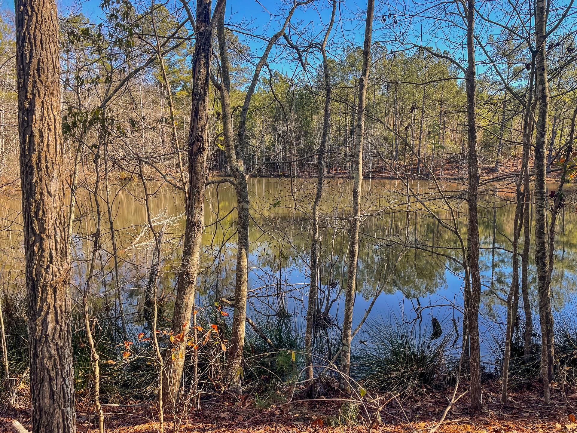 Ellaville, Schley County, GA Recreational Property, Timberland Property