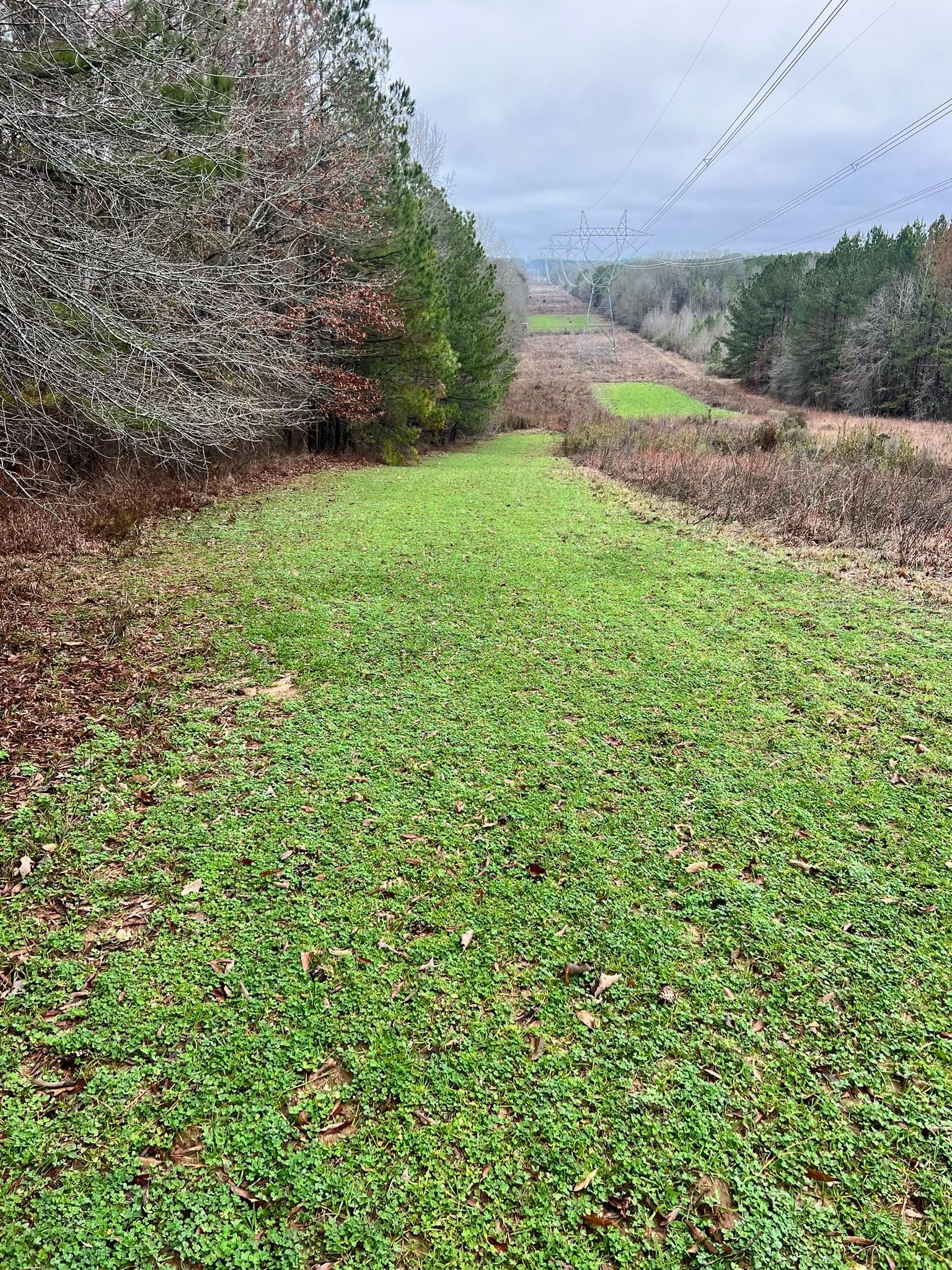 120 acres in Union Church, MS, 39668 LandWatch