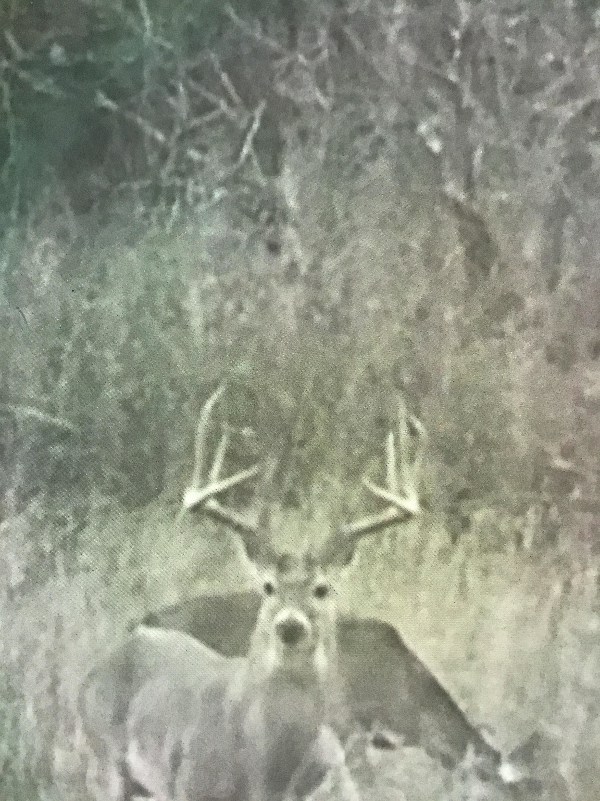 Tilden, McMullen County, TX Farms and Ranches, Recreational Property