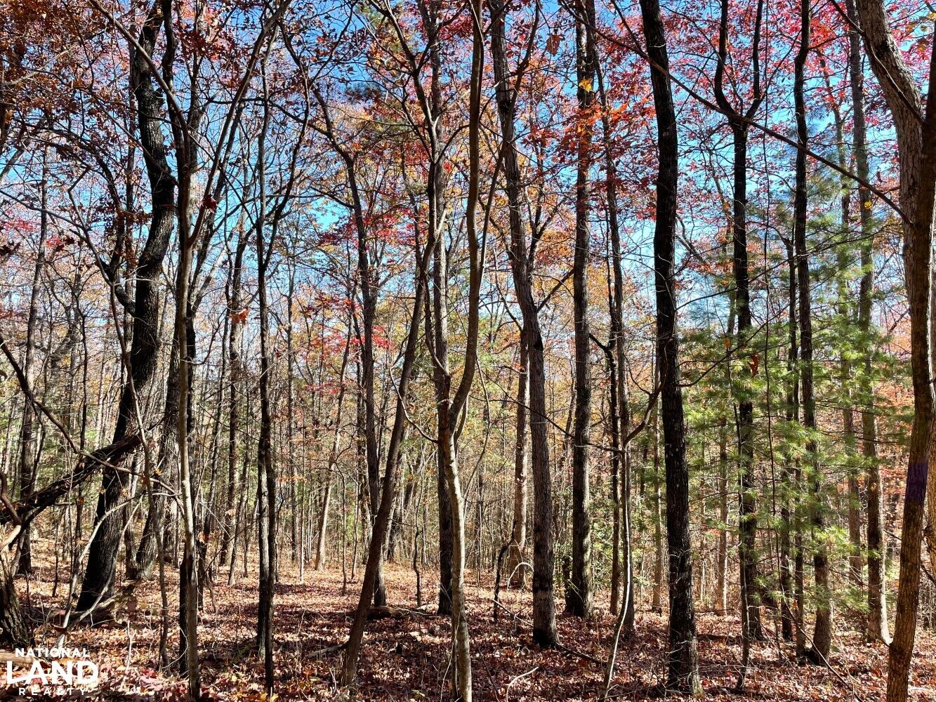 Tallassee, Blount County, TN Recreational Property, Undeveloped Land