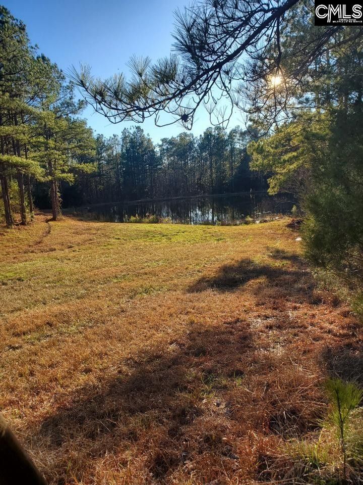 Blackstock, Chester County, SC Undeveloped Land, Lakefront Property, Waterfront Property for