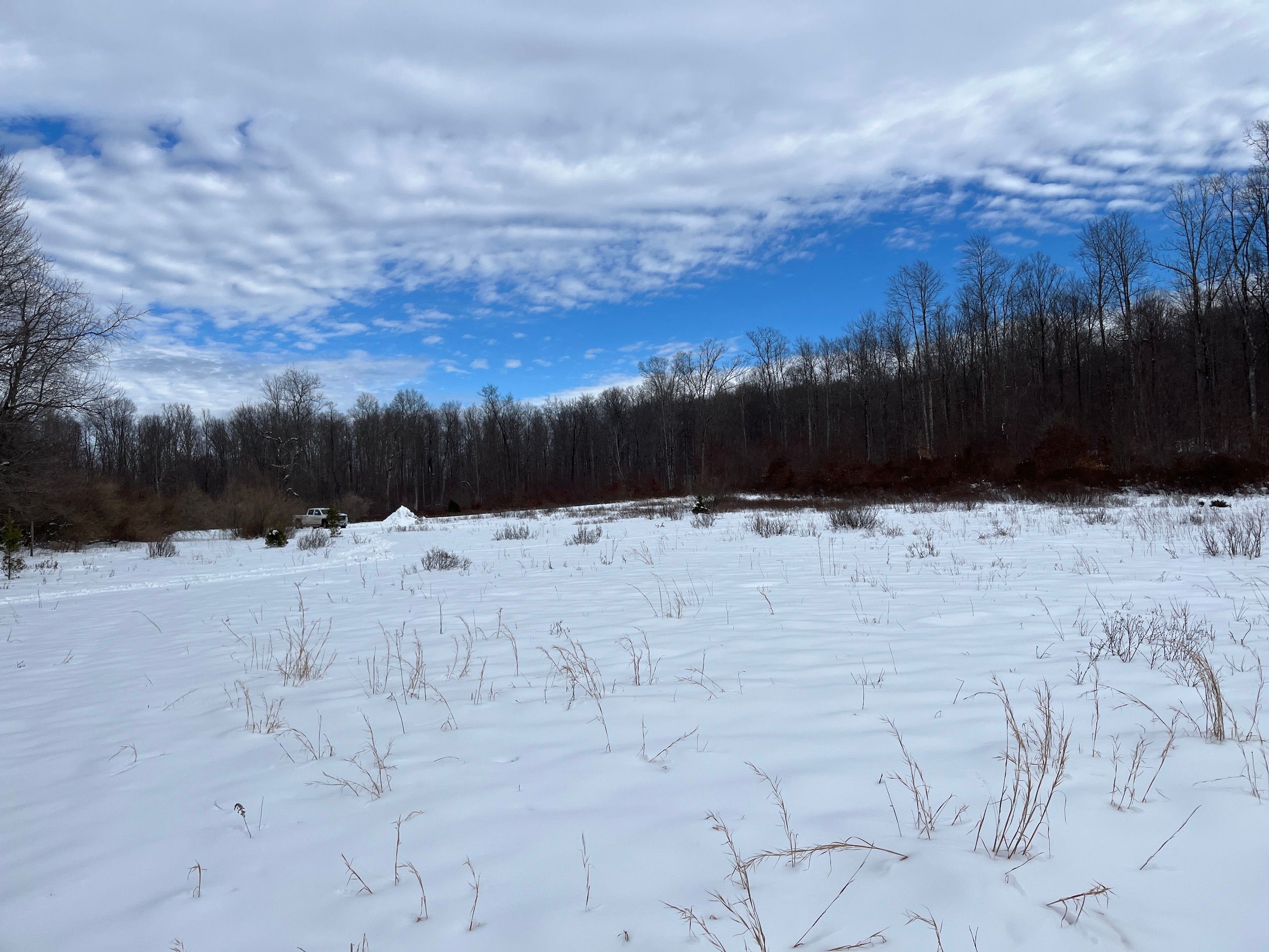 Coatton Ave, Lot WP002, Coalton, WV 26257 LandWatch