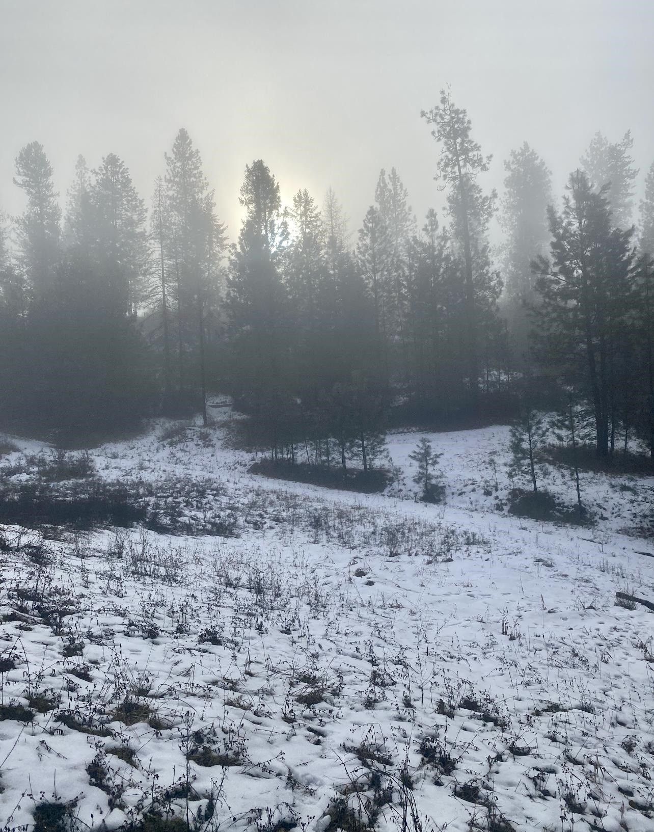 Deer Park, Stevens County, WA Undeveloped Land for sale Property ID