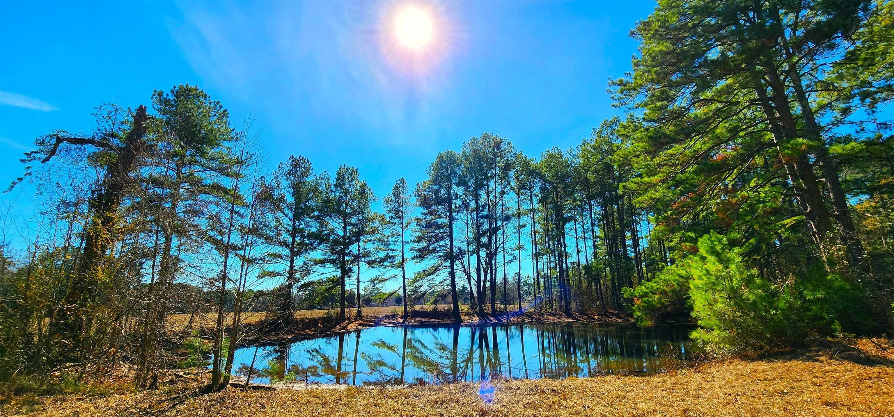 Pineland, Sabine County, TX House for sale Property ID 418776498 LandWatch