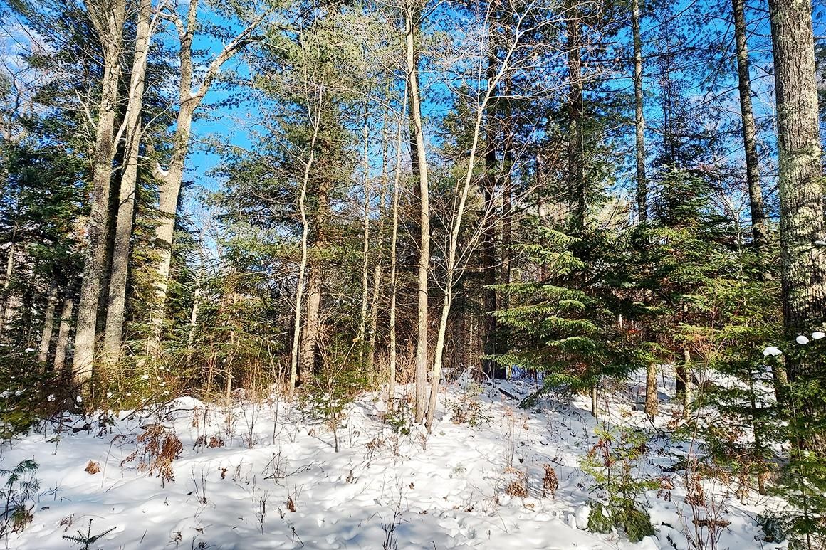 2 acres in Rhinelander, WI, 54501 LandWatch