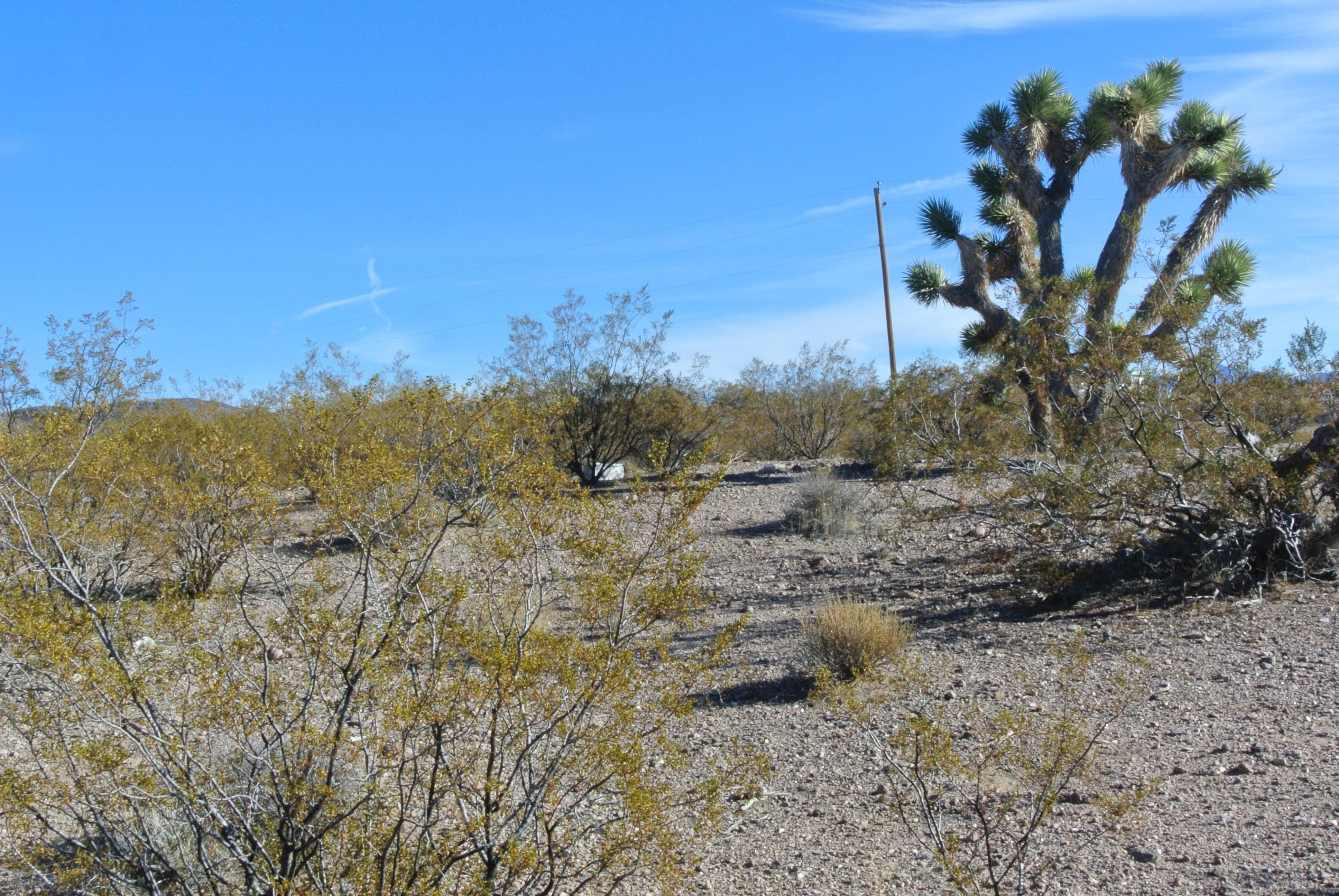 Willow Beach, Mohave County, AZ Recreational Property, Undeveloped Land