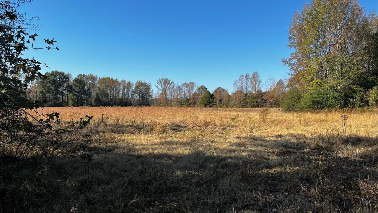 Ward, Lonoke County, AR Farms and Ranches, Undeveloped Land, Horse