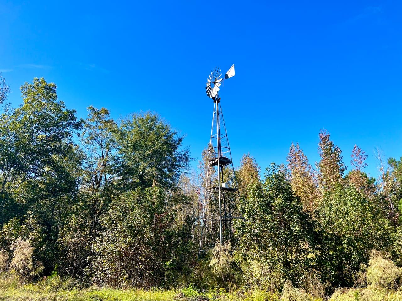 Hwy 19, Ellaville, GA 31806 LandWatch