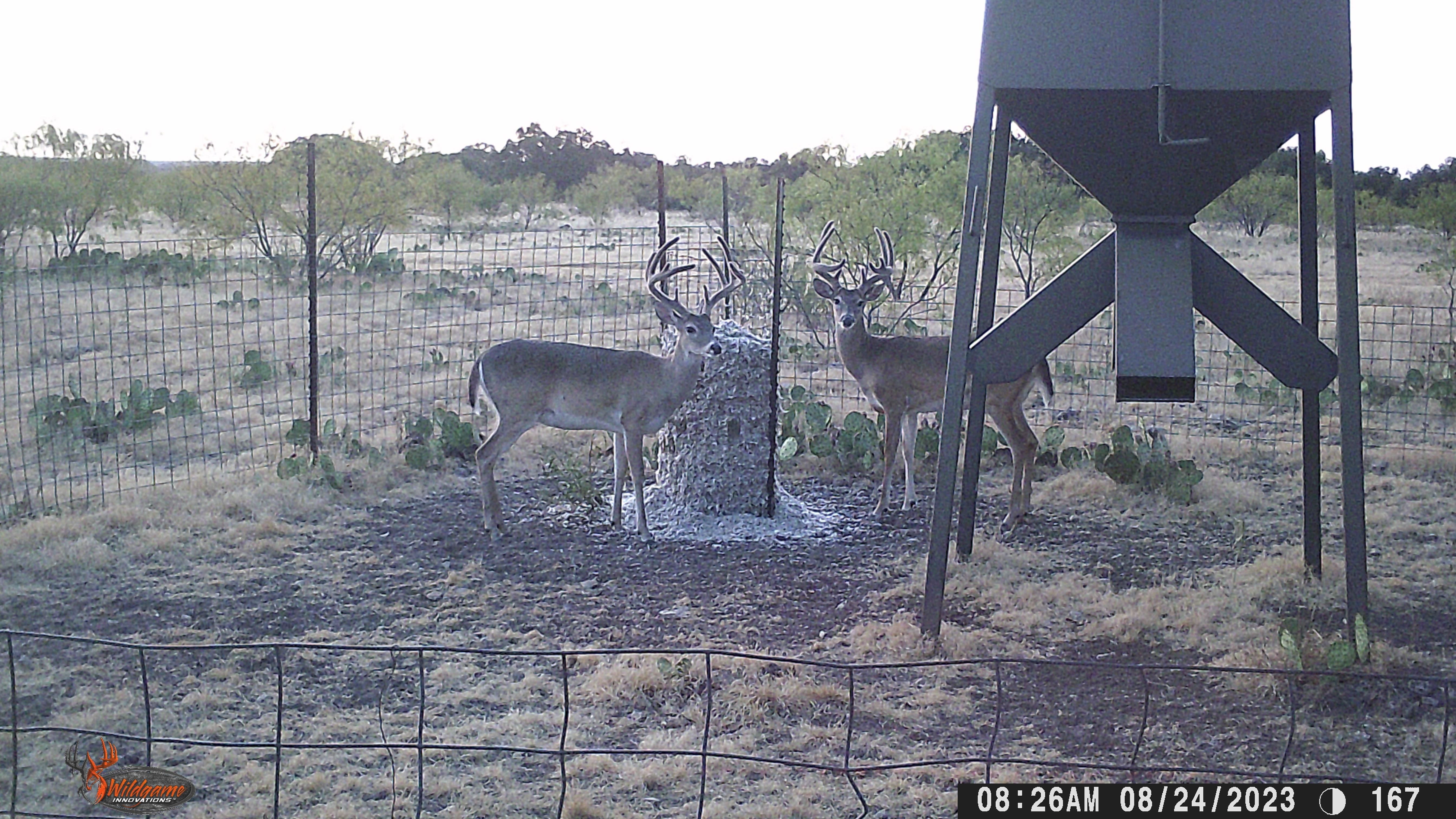 1,150 acres in Eldorado, TX, 76936 LandWatch