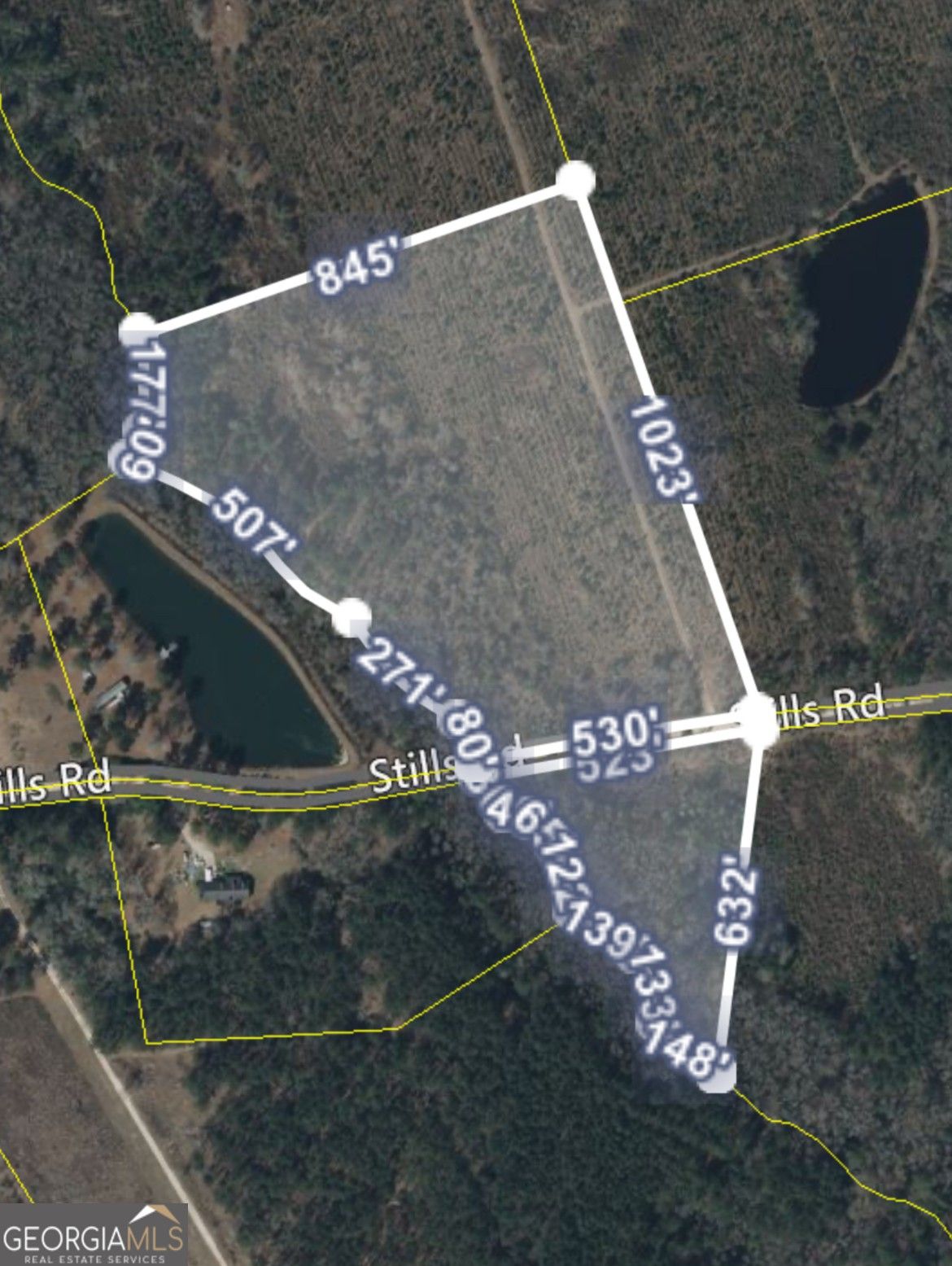 Metter, Candler County, GA Farms and Ranches for sale Property ID